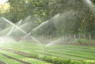 Nollamaralandscaping-water-management-and-drainage-17.jpg; ?>